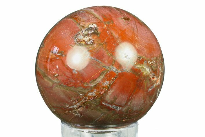 Colorful Petrified Wood (Araucaria) Sphere - Madagascar #286131